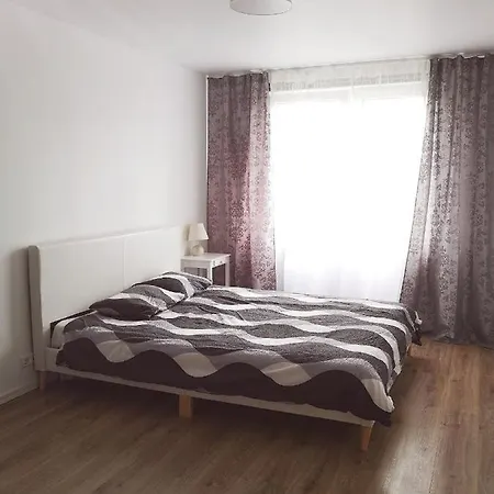 Kuuse In Apartment